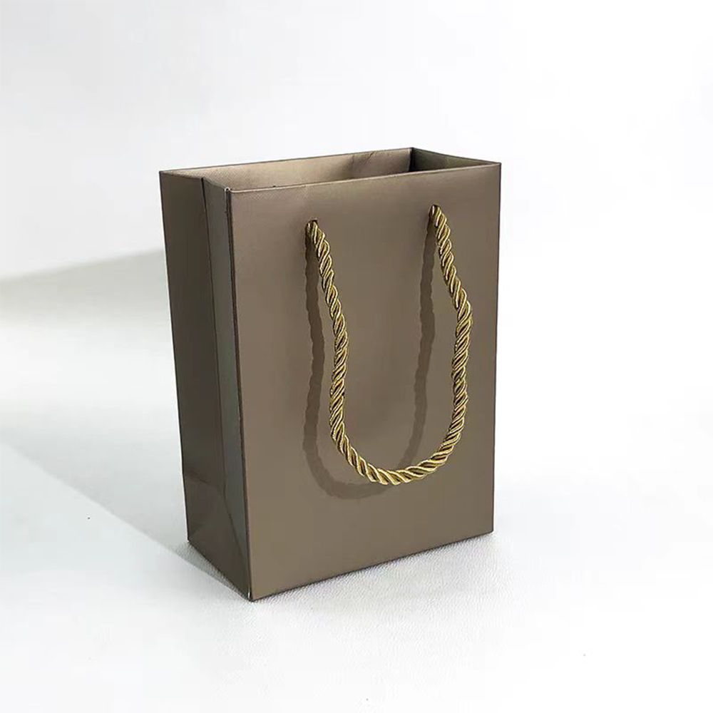 The Amazing Coated Paper Bag: More Than Just a Bag!