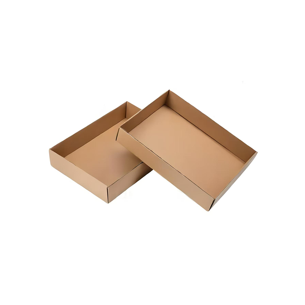 Paper Trays: Your Recyclable Packaging Superstars!