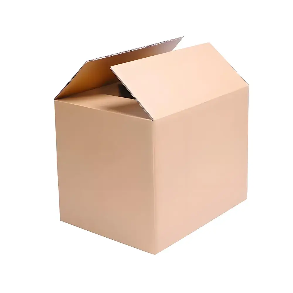 Regulatory Requirements for Utilizing Master Cardboard Boxes